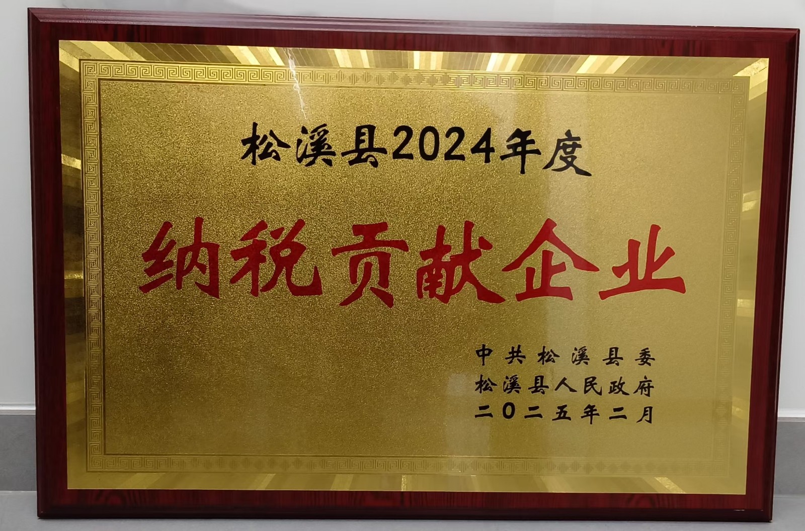 喜報(bào)！易順建工集團(tuán)榮獲“松溪縣2024年度納稅貢獻(xiàn)企業(yè)”稱號(hào)
