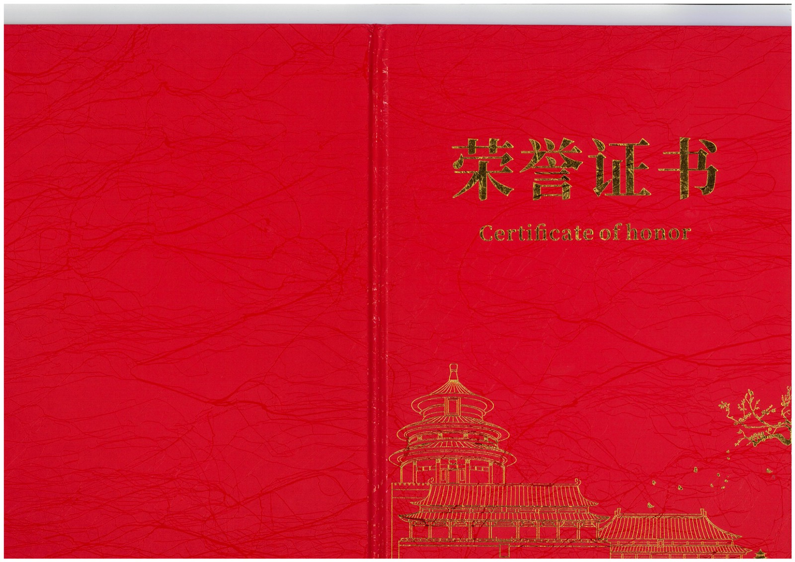 熱烈祝賀！易順建工集團(tuán)喜獲 2025 年南平市“安全生產(chǎn)月” 安全知識競賽團(tuán)隊(duì)三等獎